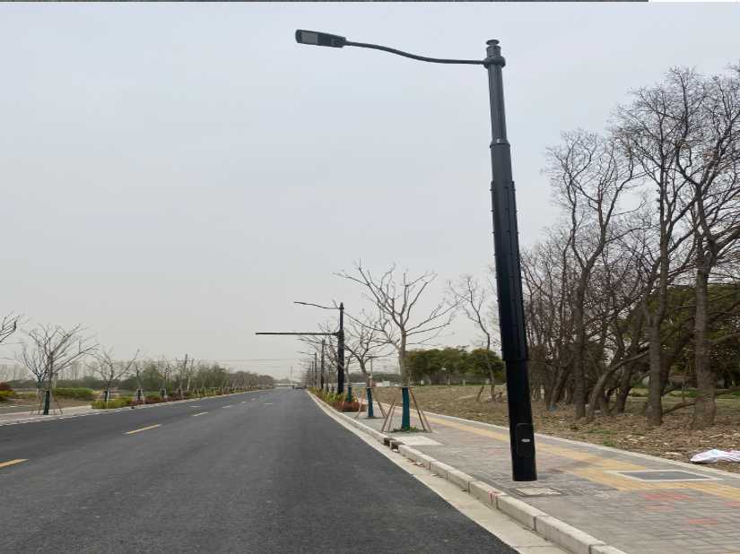 湘东区上海综合杆 太阳能路灯工程